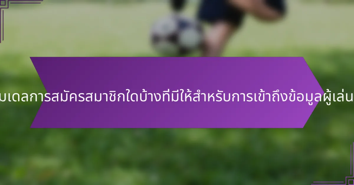 โมเดลการสมัครสมาชิกใดบ้างที่มีให้สำหรับการเข้าถึงข้อมูลผู้เล่น?