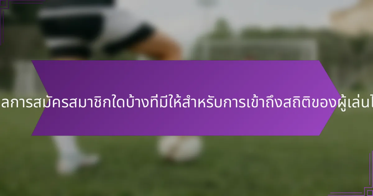 โมเดลการสมัครสมาชิกใดบ้างที่มีให้สำหรับการเข้าถึงสถิติของผู้เล่นไทย?